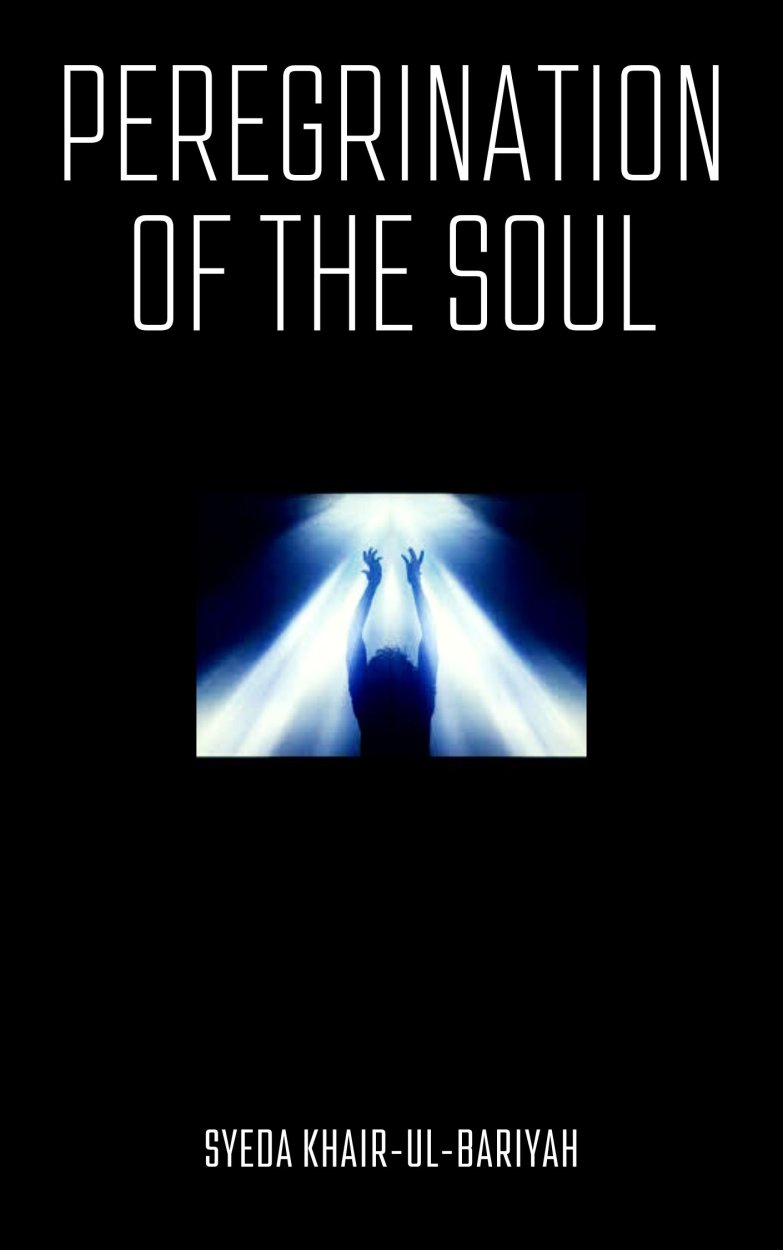 Cover of Peregrination of the Soul 