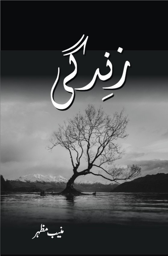 زندگی / Zindagi - Novel About Loneliness and True Love 