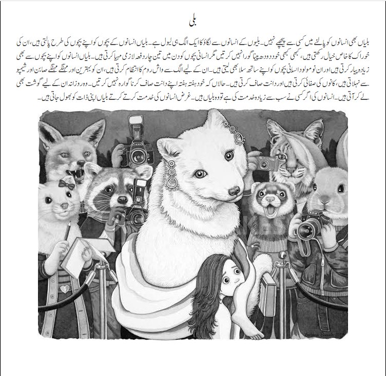 Photo 2 of Lucky Insani Circus by Muhammad Jahangeer Badar - published by Daastan